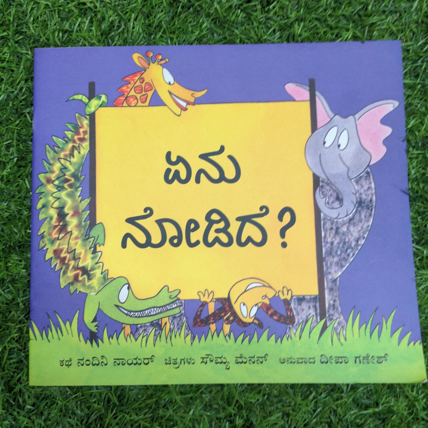 WHAT DID YOU SEE? - Kannada