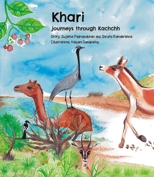 Khari Journeys through Kuchh