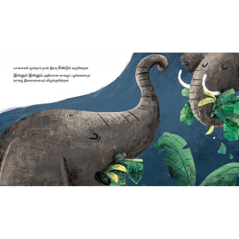 BUMONI'S BANANA TREES in TAMIL